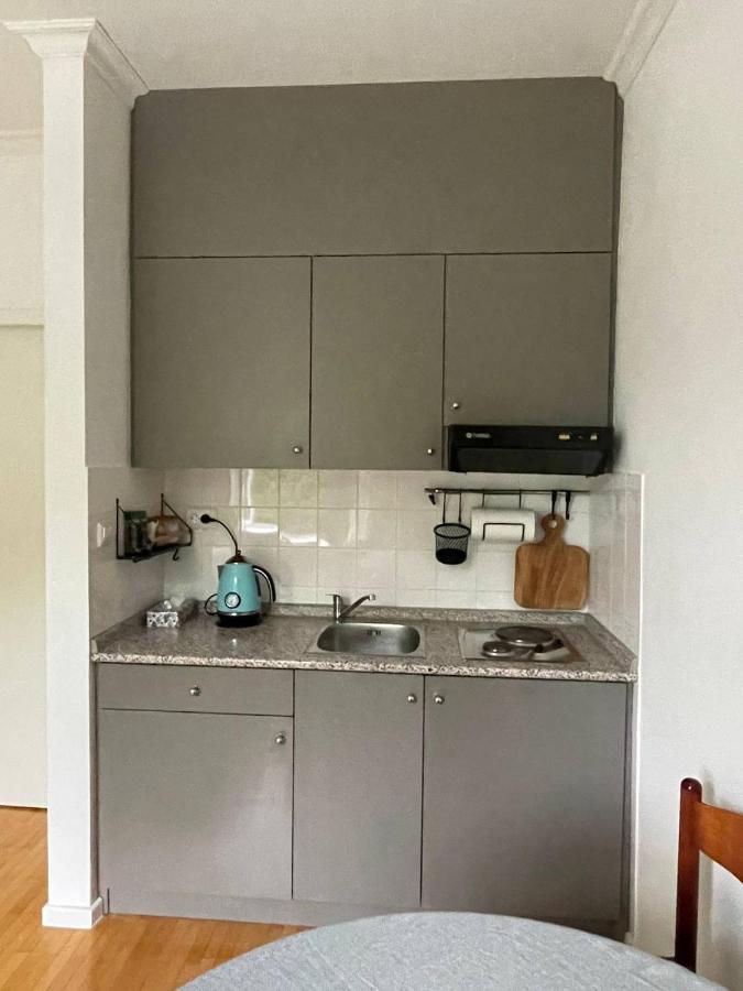 Apartment Vilapark 14 Рогашка Слатина Экстерьер фото